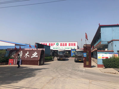 廠容廠貌